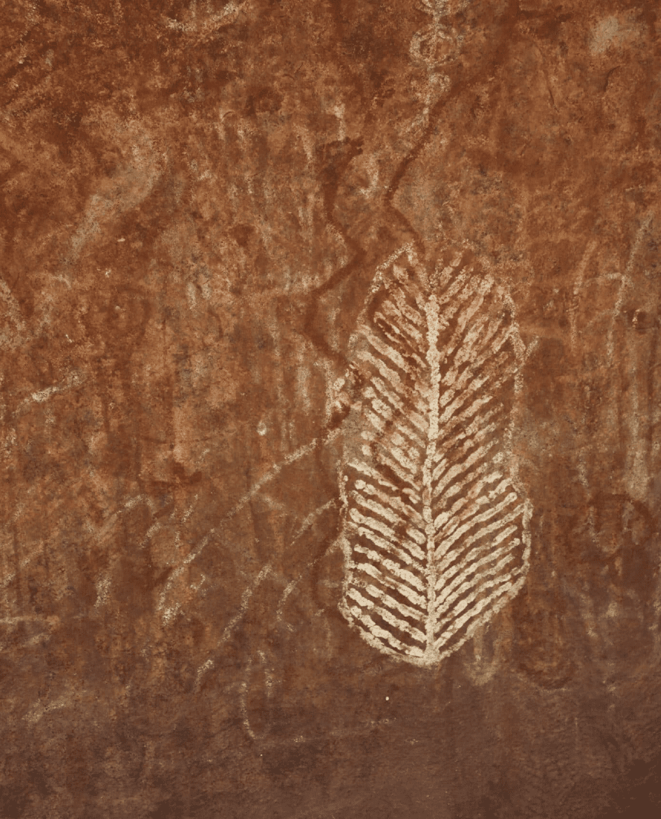A depiction of a feather in the form of indigenous art on a rock face. 